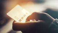 Vetlytrsat kapott a Paypal