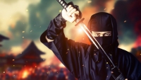A pellrdi ninja nemzetkzi versenyt nyert (vide)