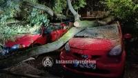 Bven akadt dolguk a tzoltknak szerdn s az jszakai vihar miatt