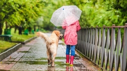 Záporok, zivatarok zavarhatják meg a nyárias időt