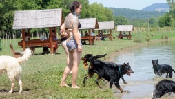 A kutyk is strandolhatnak a hirdi tparton