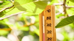 Naprl napra lesz melegebb, jra jn a forrsg