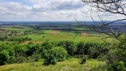 A Tenkes-hegyre hv trzni most a Meteo Mecsek