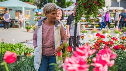 A messzi tjakrl szmos nvnyi krostt is behurcolhatunk az orszgba