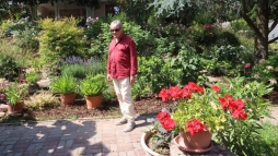 A Kves-kertben csaknem 2000 nvnyfajt csodlhatunk meg