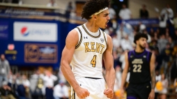 Gyors, atletikus amerikai centert igazolt a Panthers