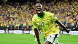 Brazil pard Paraguay ellen (vide)