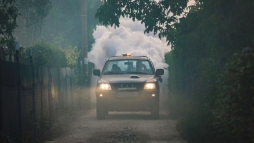 Forma-1-es versenyzt kldtek sznyogot irtani - bosszankodik olvasnk