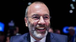 Felllt a hborprti koalci (vide)