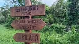 Patak s erd lelsben, elad egy csodlatos telek s paraszthz