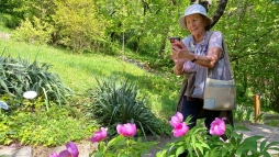 Gygyt nvnyekkel ismerkedhetnk meg