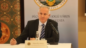 Zld vros: parkol kontra nvnyek!