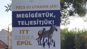 Ezt mgis hogy?! rokban vgzdik a zebra