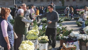 Virgosokra csapott le a NAV Baranyban, volt tallat