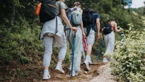 Ismt beveszik a Mecseket a termszetbartok