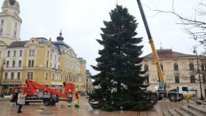 A csald els fjbl lett a pcsi mindenki karcsonyfja (GALRIA+VIDE)